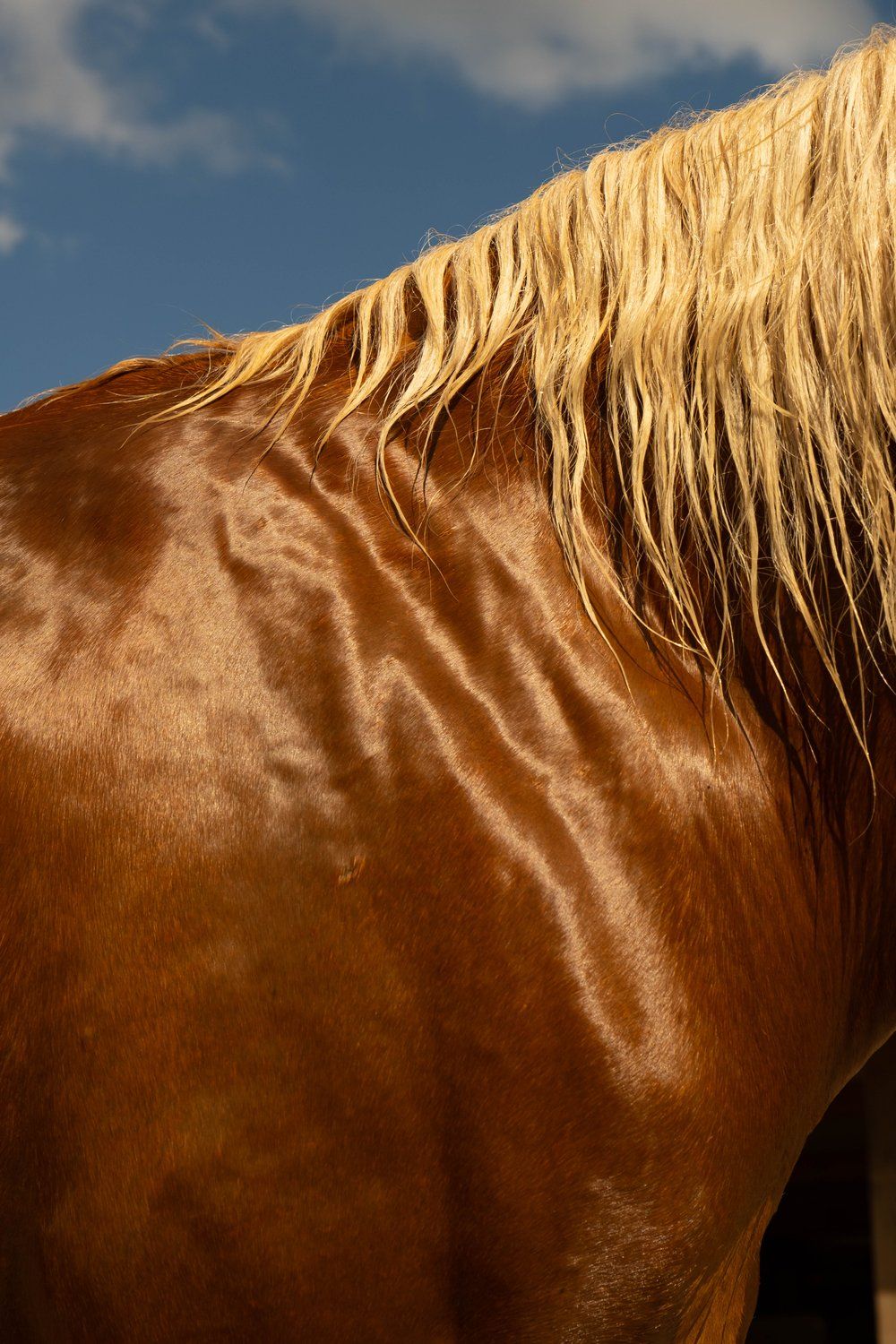 Visual cue for scent 001